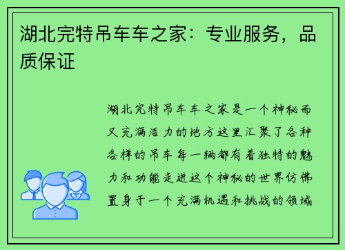 湖北完特吊车车之家：专业服务，品质保证